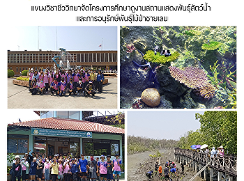 แขนงวิชาชีววิทยาจัดโครงการศึกษาดูงานสถานแสดงพันธุ์สัตว์น้ำ
และการอนุรักษ์พันธุ์ไม้ป่าชายเลน